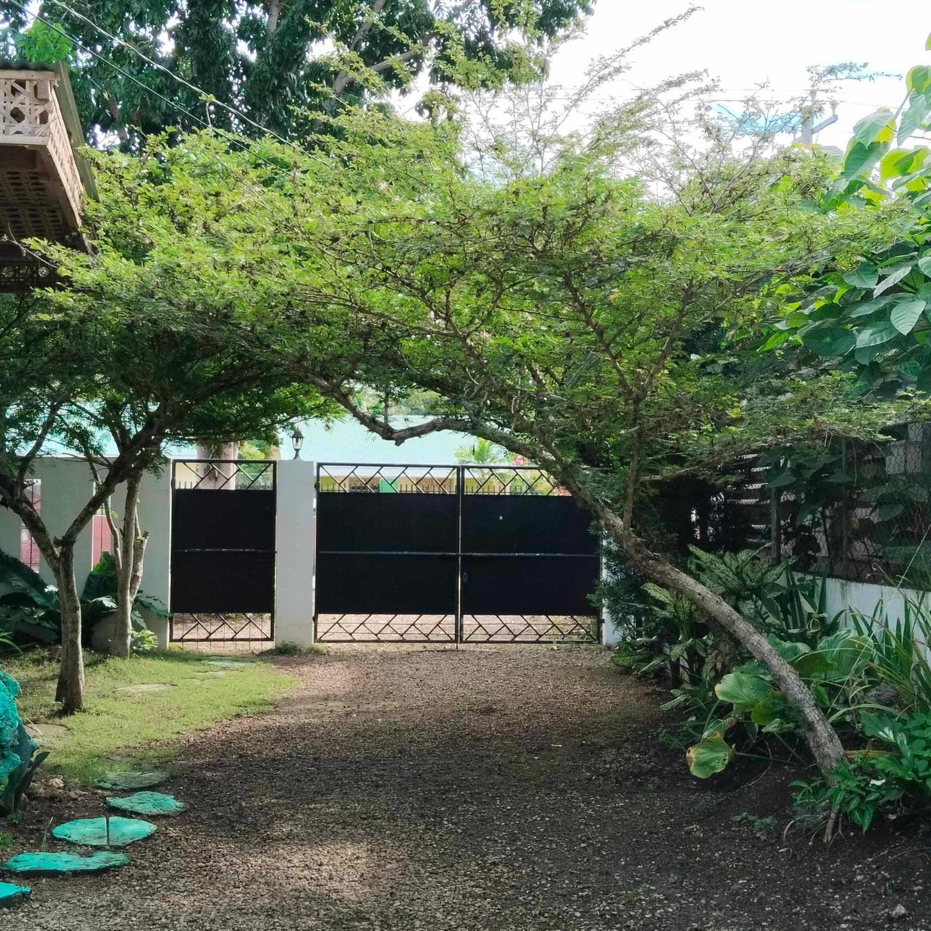Mannah Garden Staycation Place Panglao Exterior foto